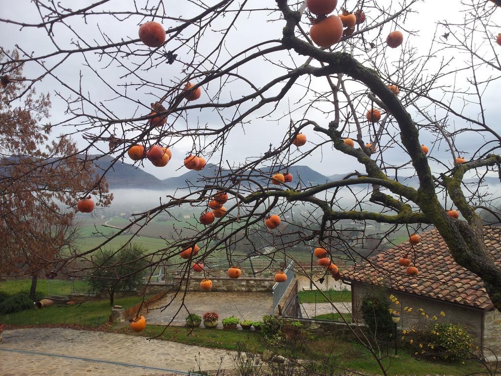 Fonte Chiara Βίλα Γκούμπιο Εξωτερικό φωτογραφία