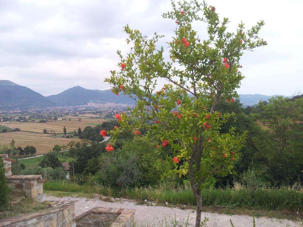 Fonte Chiara Βίλα Γκούμπιο Δωμάτιο φωτογραφία